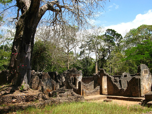 Ruins of Gedi